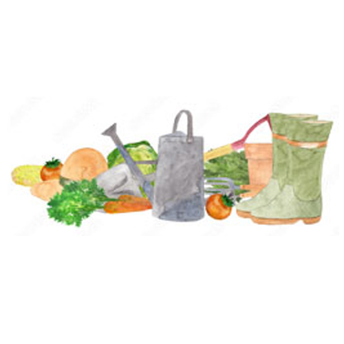 img-collect-tresor-jardin Collection trésors du jardin